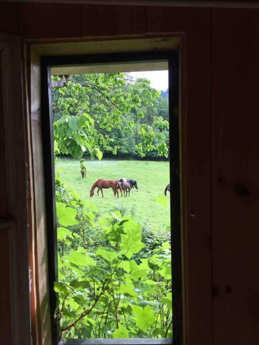 Auszeitshaeusel Ideal Fuer Naturfreunde Und Wanderer Villa Marktschellenberg Kültér fotó