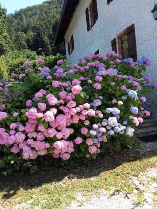 Auszeitshaeusel Ideal Fuer Naturfreunde Und Wanderer Villa Marktschellenberg Kültér fotó